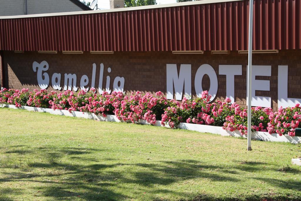 Camellia Motel Narrandera Exterior photo